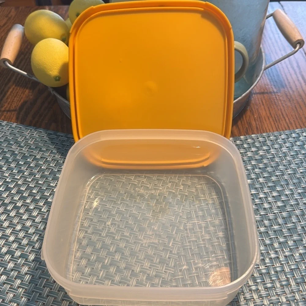Vintage Tupperware Modular Mate 1. “Off With flying colors 1983”